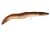 HALASPÁRNA ANGOLNA 115CM